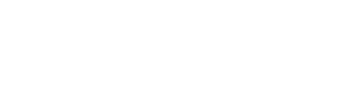 Transdev - the mobility company